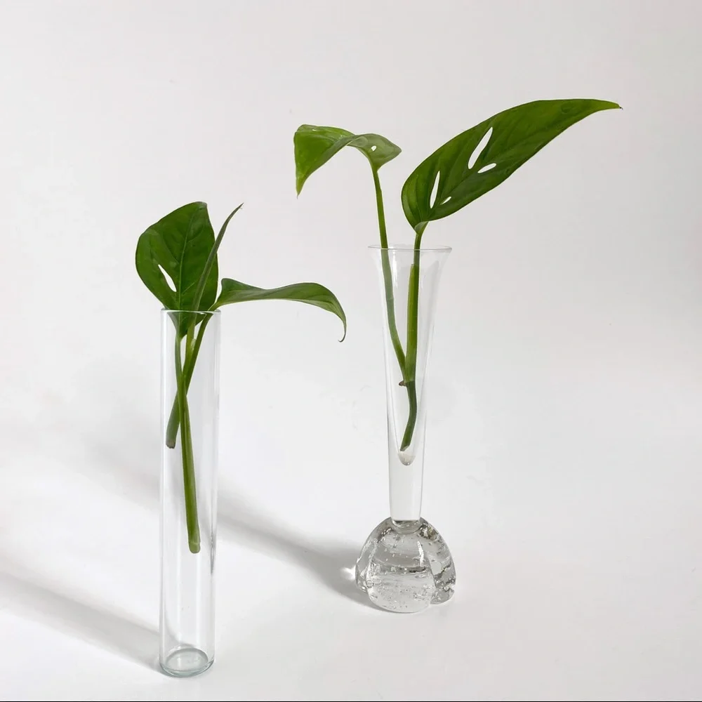 Minimalist Propagation Station Vintage Glass Test Tube Planter Plant